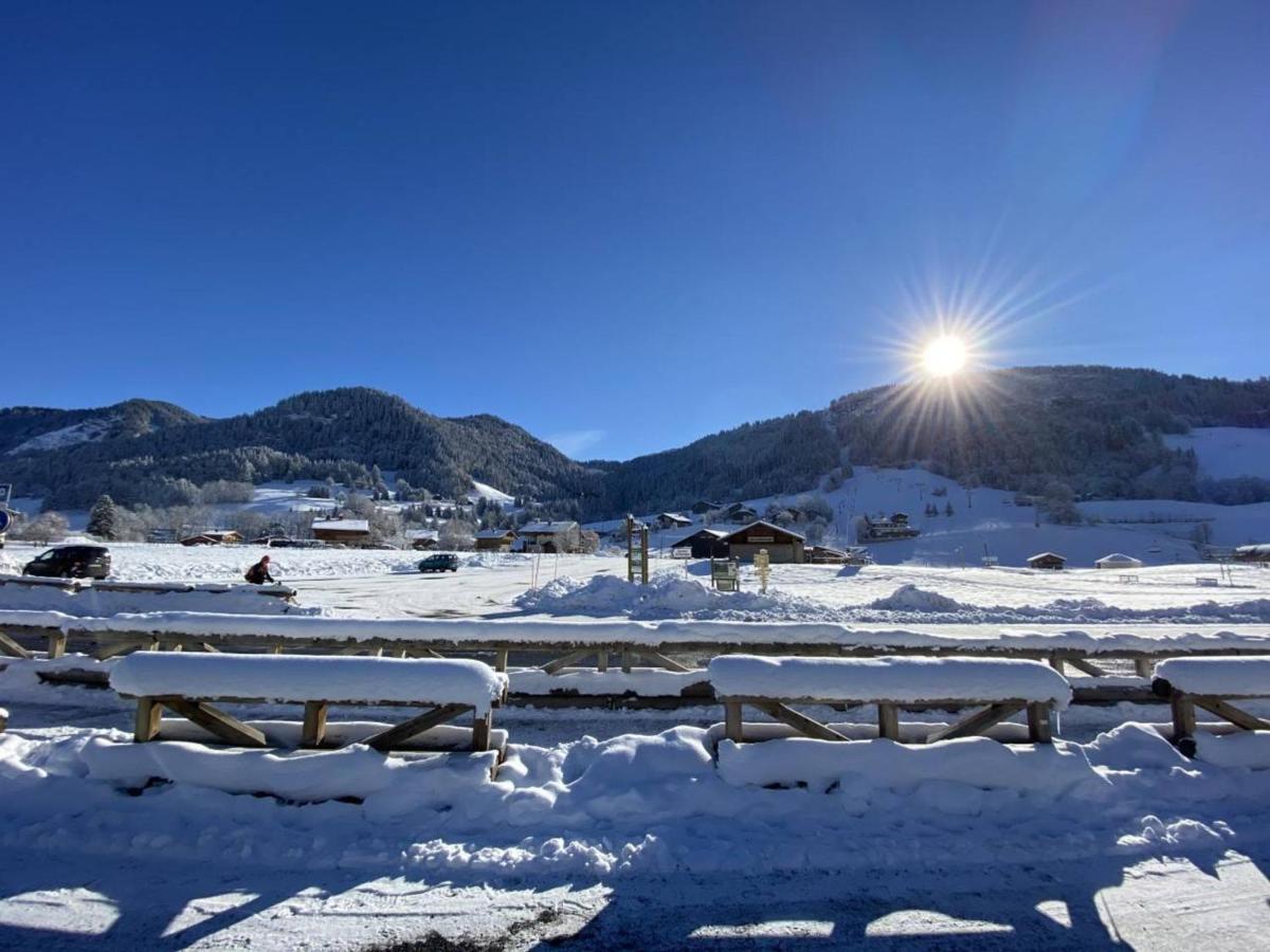Studio Cabine A Praz-Sur-Arly - 4 Pers, Parking, Proche Centre Et Pistes - Fr-1-603-32 Ngoại thất bức ảnh